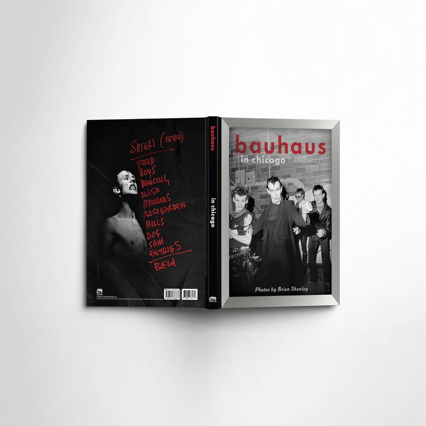 DAVID J/BRIAN SHANLEY - BAUHAUS IN CHICAGO