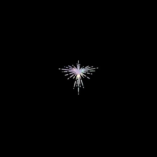 Black background with a central, iridescent starburst-shaped design.