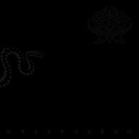 Black vinyl record cover with ornate, dark grey lettering and design.