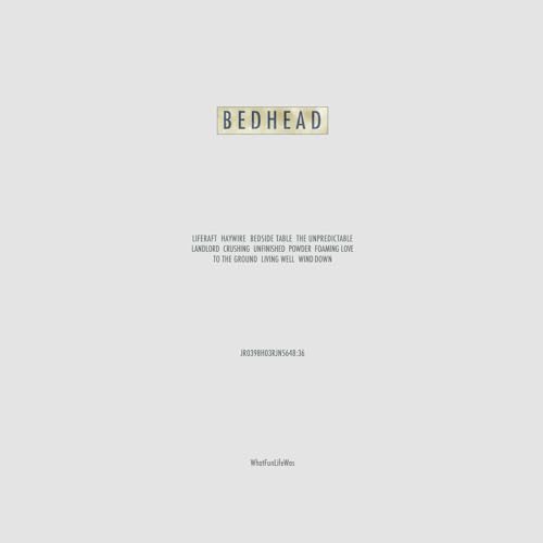 Bedhead "Whatfunlifewas" vinyl record cover, pale gray with gold text.