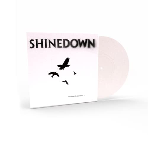 Shinedown album cover with black birds and a white vinyl record.