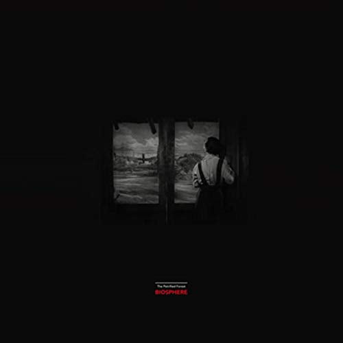 Black and white album cover with a figure looking out a window.