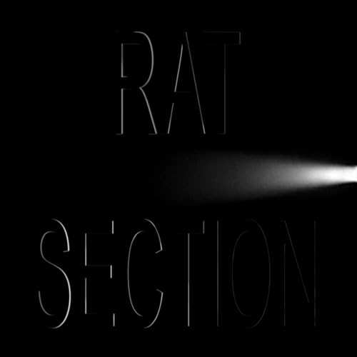 Black album cover with white text: "Rat Section - What Stays In Vegas.
