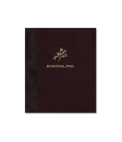 Beautiful, Still