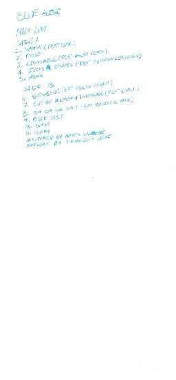 Vinyl record tracklist for “Blue Alibi” by Levi,mica, handwritten in blue ink.