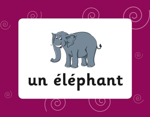 French Vocabulary Flashcards for Ages 9-11 (with Free Online Audio)