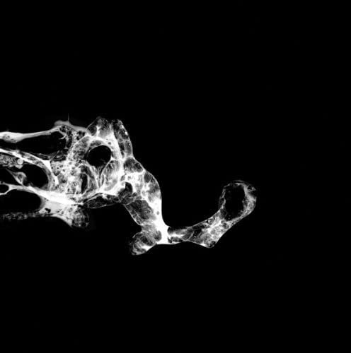 Abstract white shape resembling a bird’s head against a black background.
