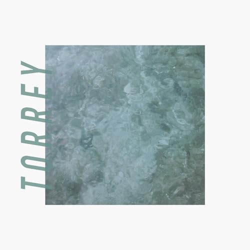 CD cover for "Torrey" with abstract teal and gray marbled texture.
