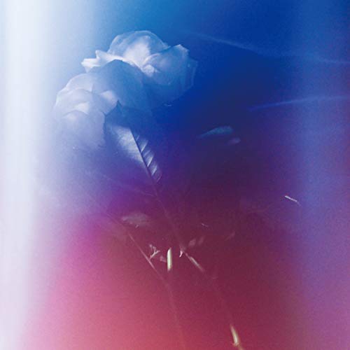 Blue and red toned image of a white rose in shadow.