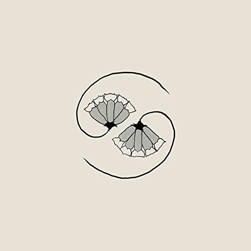 Beige background with a black and white illustration of two poppy flowers.