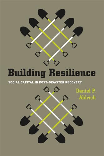 Building Resilience: Social Capital in Post-disaster Recovery