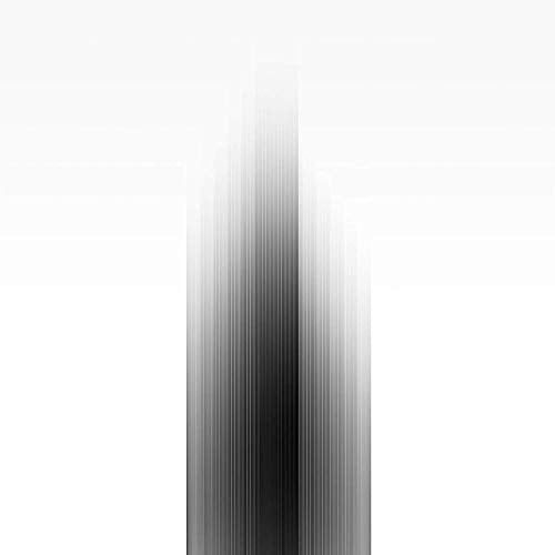Abstract grayscale image with vertical lines, representing album artwork.