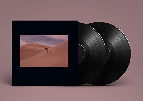Bing & Ruth "Species" double vinyl record with desert landscape cover.