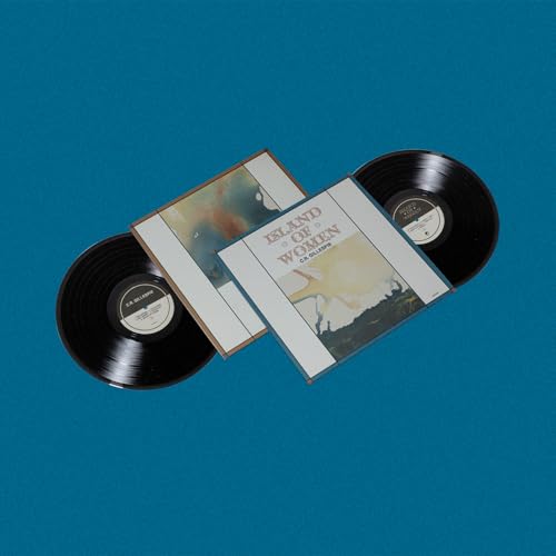 Two vinyl records and a white album cover with landscape art.