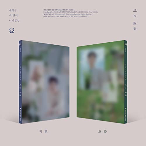 Yoon Ji Sung's "Labyrinth" CD case, showing blurred portrait and green landscape.