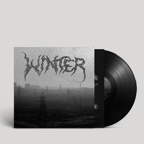 Black vinyl record with a grayscale album cover depicting a desolate cityscape.