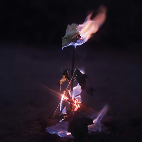 Burning white rose against a dark background, with glowing embers.