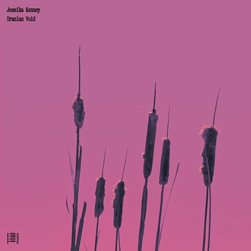 Album cover for Jessika Kenney’s “Uranian Void” featuring cattails on pink.