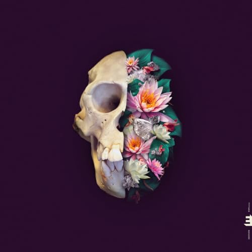 Skull bisected with vibrant flowers against a dark purple background.