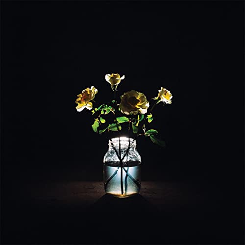 Yellow roses in a glass jar against a dark background.