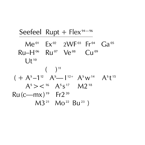 CD cover for Seefeel’s “Rupt & Flex” with abstract white text on black.