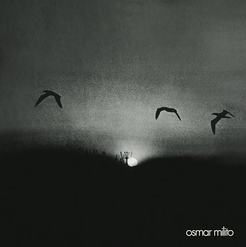 Three birds fly over a dark landscape with a setting sun in black and white.