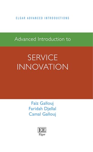 Advanced Introduction to Service Innovation