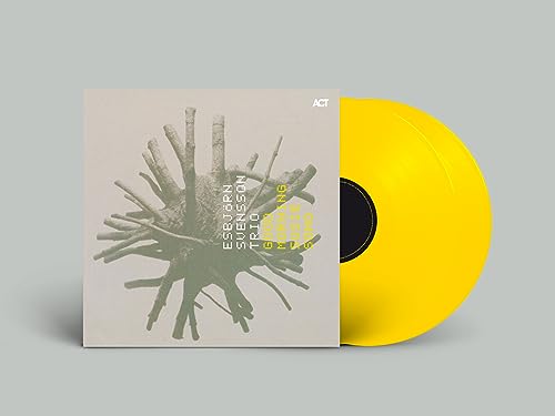 Esbjörn Svensson Trio vinyl record with yellow disc and twig artwork.