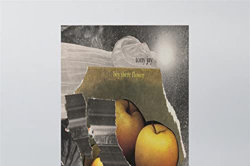 Album cover for Tony Jay’s “Hey There Flower” with collage imagery.