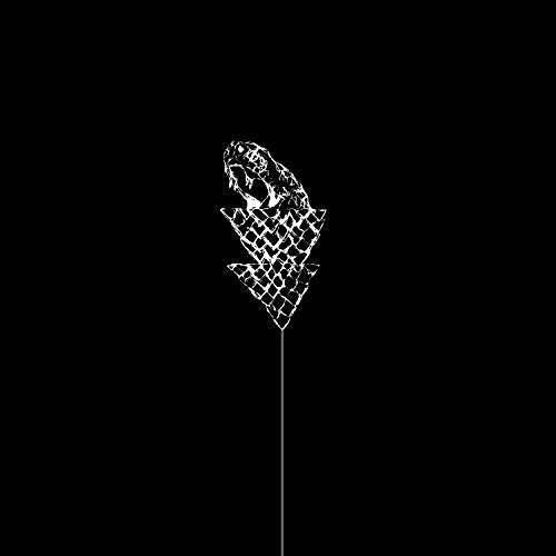 Black and white abstract image of a flail-like animal head.