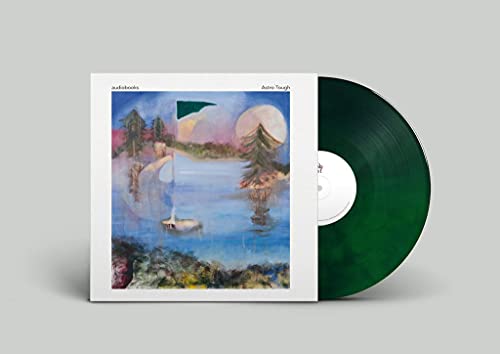 Album cover for Audiobooks’ “Astro Tough” vinyl record, landscape painting.