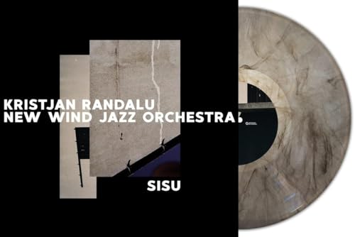 Grey marble vinyl record with album artwork featuring abstract shapes and text.