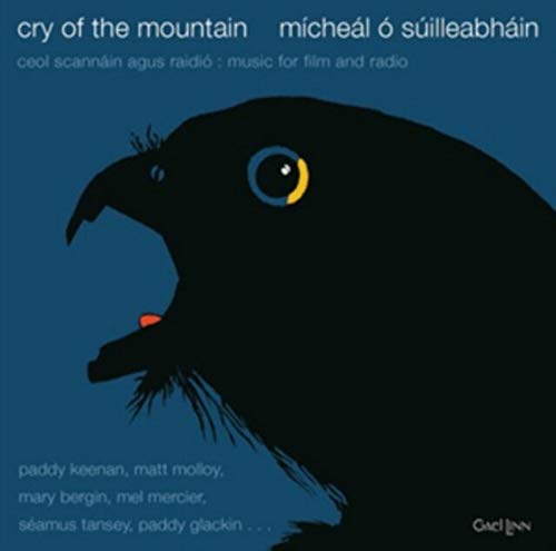 CD cover: black silhouette of a raven’s head against a blue background.