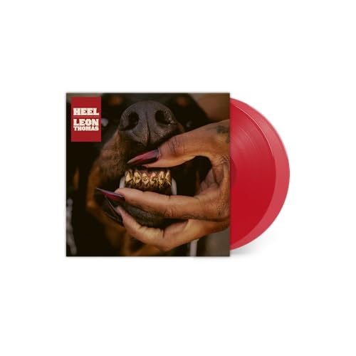 A hand with long dark nails touches a dog's snout next to a red vinyl.