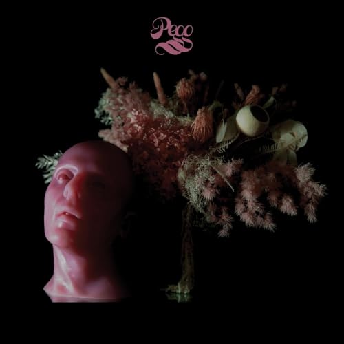 Album cover with a sculpted head and dried floral arrangement.