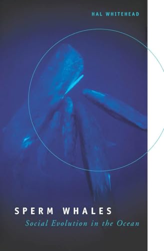 Sperm Whales: Social Evolution in the Ocean