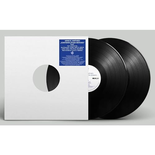 Two black vinyl records and white record sleeve with blue label detail.