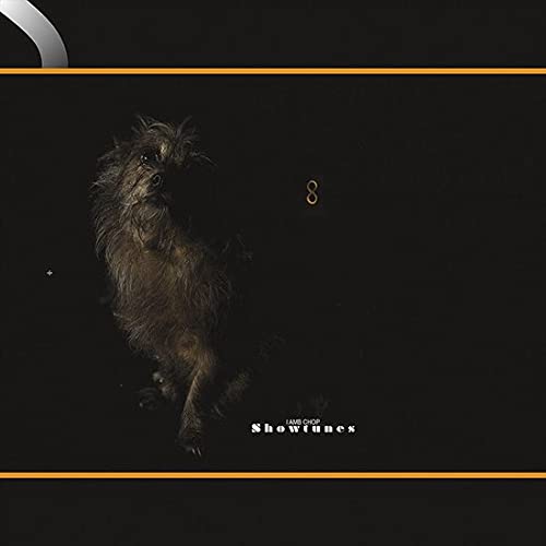 Lambchop album cover: a fluffy dog against a black, starry background.