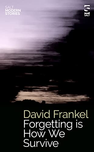 Forgetting is How We Survive (Salt Modern Stories)