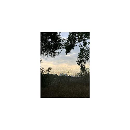 Arroyo album cover featuring a landscape with trees and a skyline.