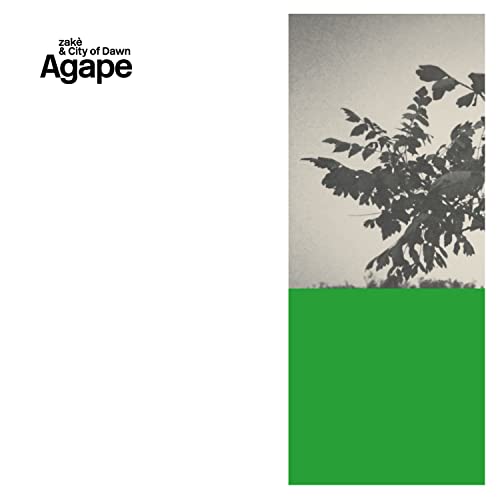 Zakè & City of Dawn “Agape” vinyl album cover: tree branch, green block.