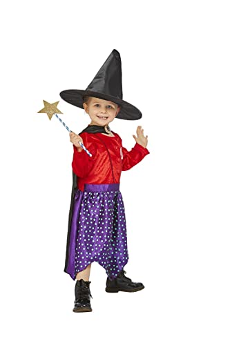 Julia Donaldson Room On The Broom Costume
