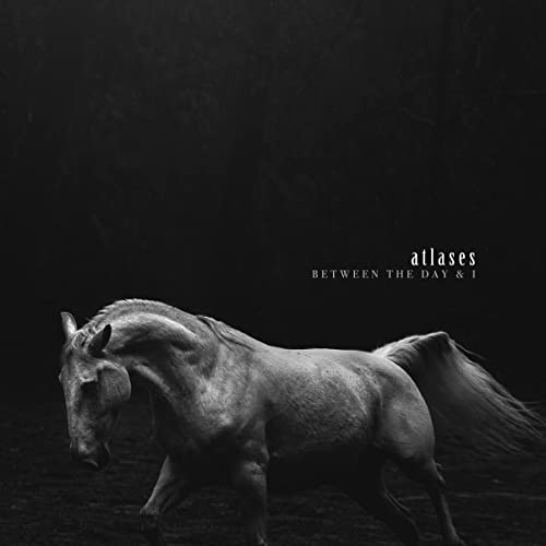 Black and white album cover featuring a horse in a dark forest.
