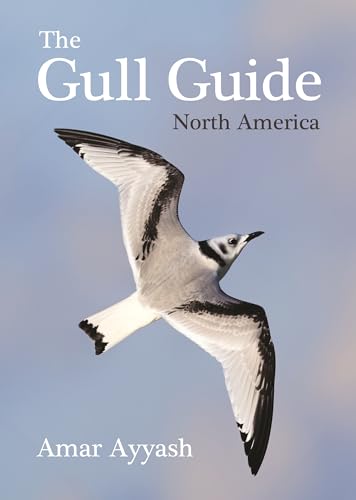 The Gull Guide : North America