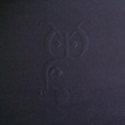Dark vinyl record cover with embossed, stylized owl face design.