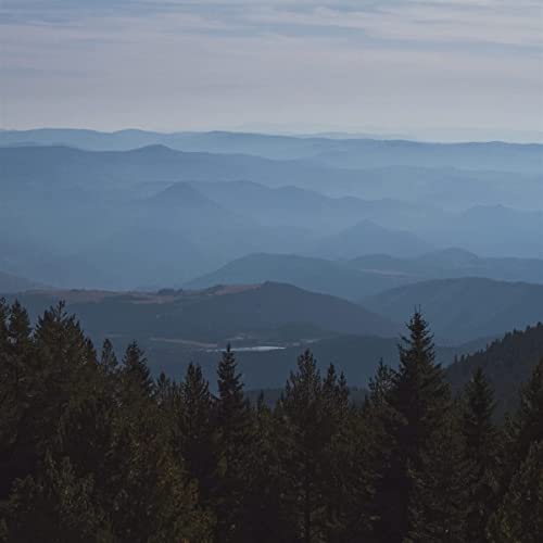 Layered, misty mountain range with dark evergreen trees in foreground.