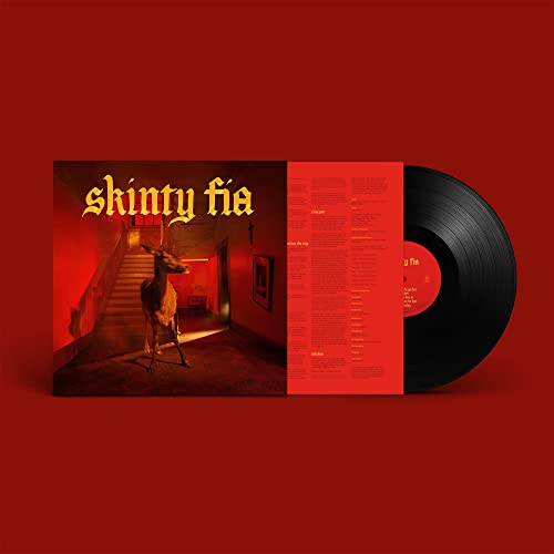 Fontaines D.C. “Skinty Fia” vinyl record with a deer in a hallway.