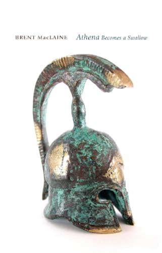 Athena Becomes a Swallow and Other Voices from The Odyssey
