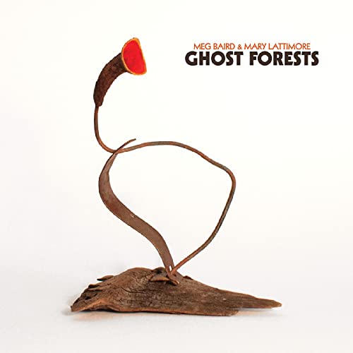 Album cover: a dried, curving plant with a red tip on white background.