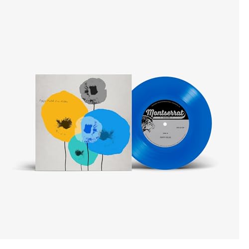 Blue vinyl record with cover art featuring colorful poppy flower shapes.